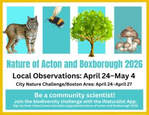 Bioblitz! Nature of Acton and Boxborough 2026
