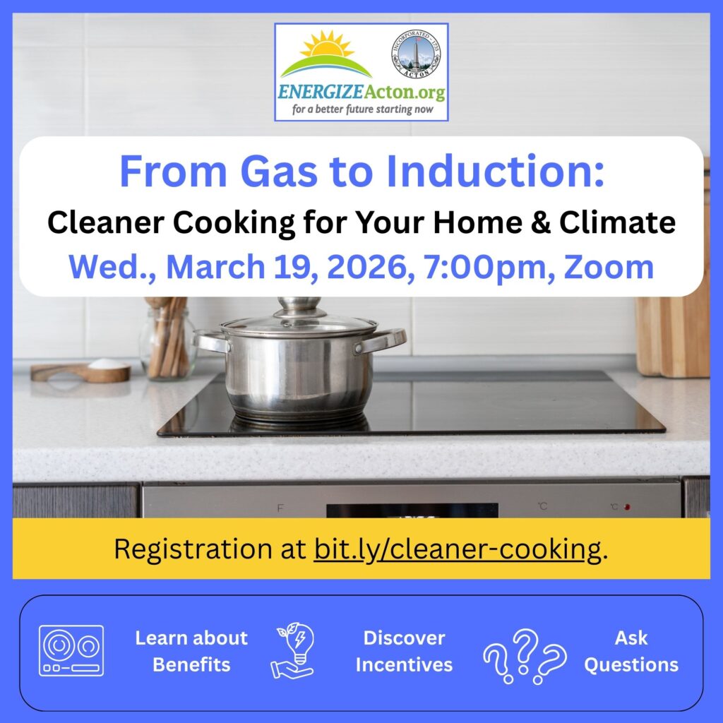From Gas to Induction: Cleaner Cooking for Your Home and Climate